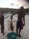 Lobster catch Anguilla